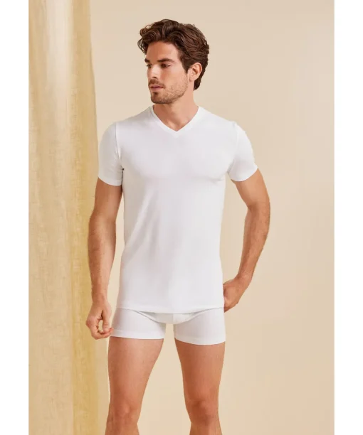 2-Pack Heren T-Shirt V-Hals Daily Comfort